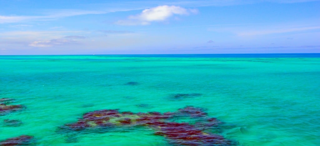 Crystal clear water and coral reef