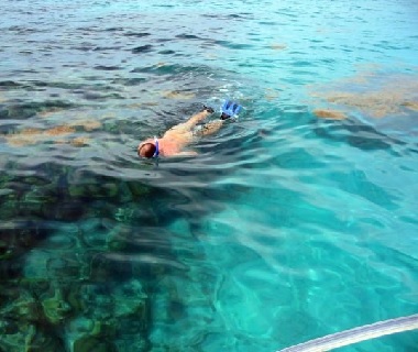 Snorkeling in Bermuda