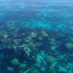 North Rock Coral Reef