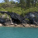 Caves along the coastline