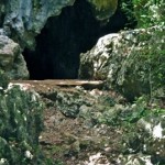 Tom Moore's Jungle Cave